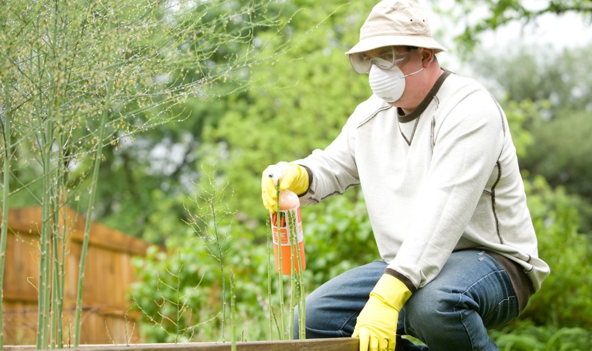 How to Start a Pest Control Business