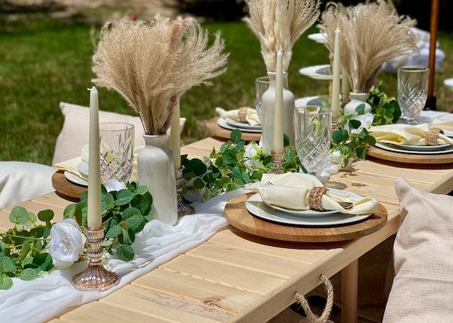 picnic in white colors